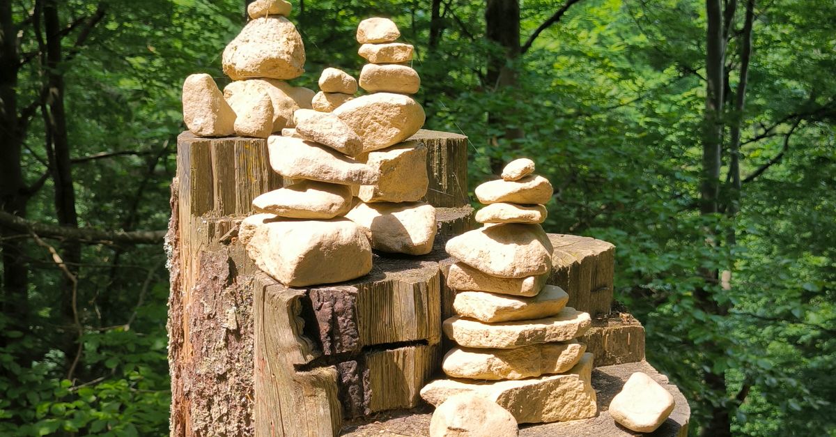 Assessing the Financial Impact of Hiring Experts for Stump Removal