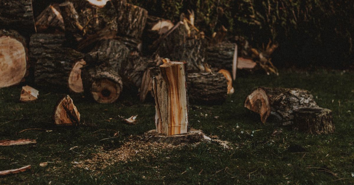 Evaluating Long-term Savings: DIY Versus Hiring Professionals
