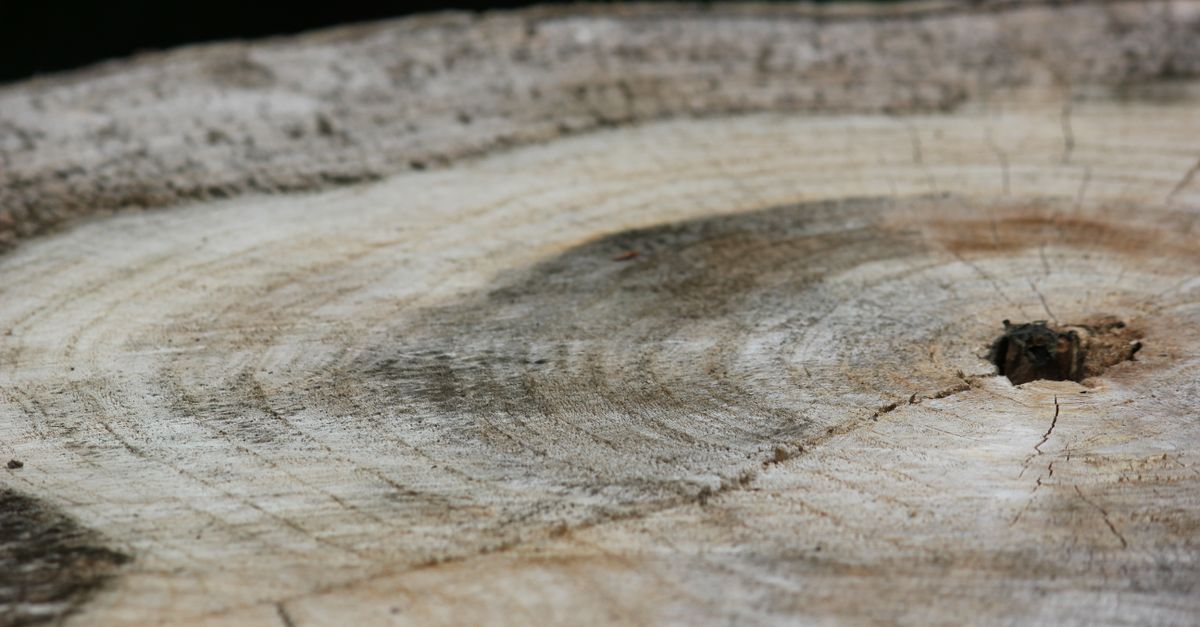 Knee Pads: Enhancing Comfort and Safety in Manual Stump Removal