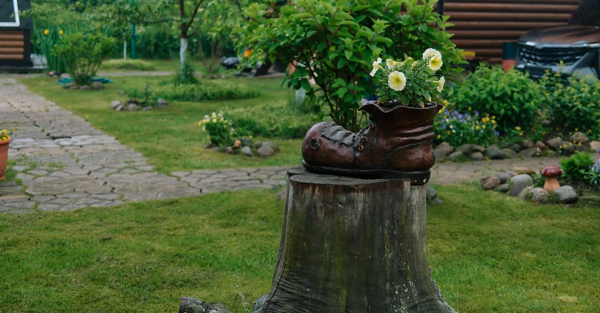 Natural Chemical Alternatives for Stump Removal