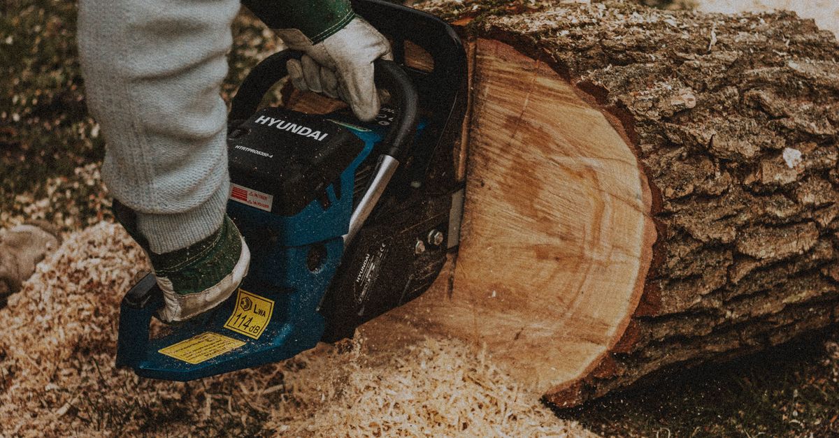Special Considerations for Stump Removal in Urban Areas