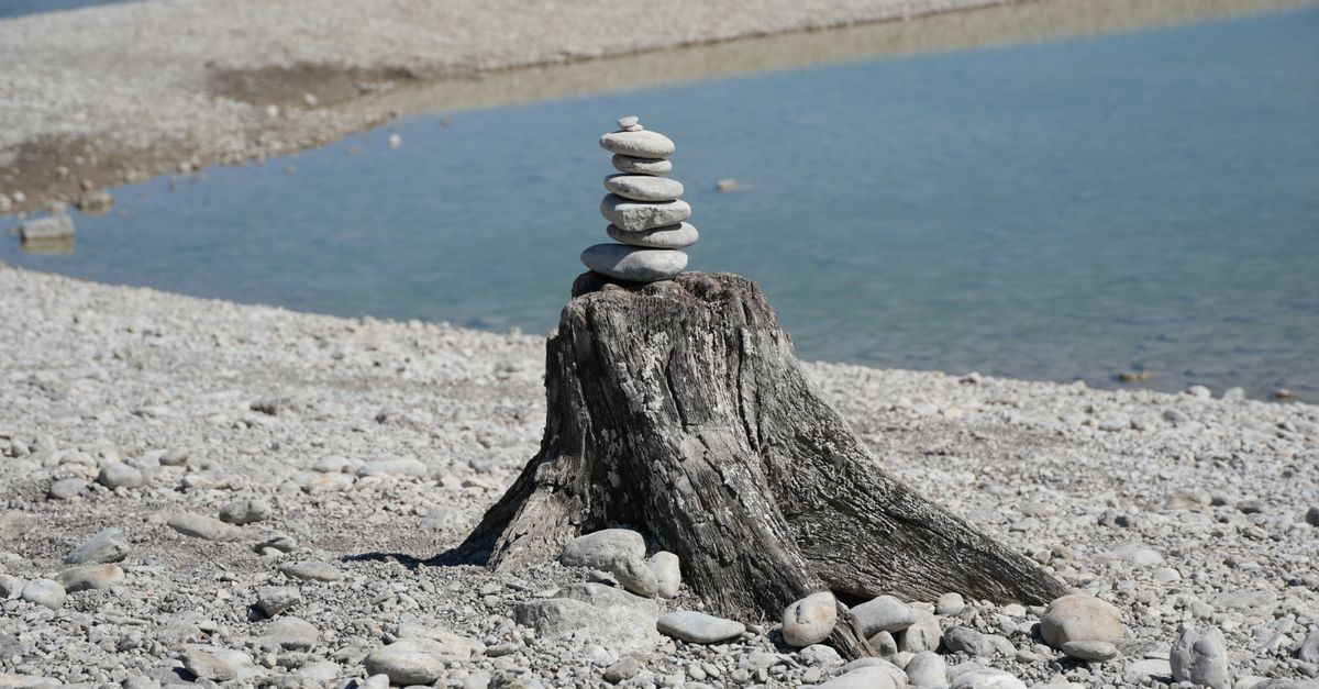 Step-by-Step Guide to Using Epsom Salt for Stump Elimination