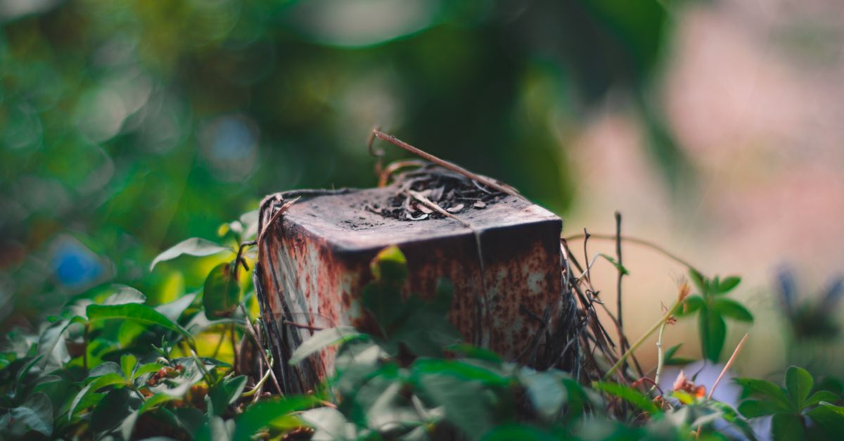 The Science Behind Chemical Stump Removers