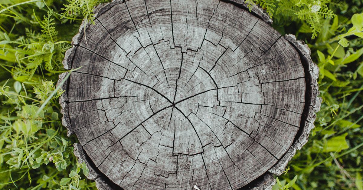Troubleshooting Common Issues with Stump Grinding Machines